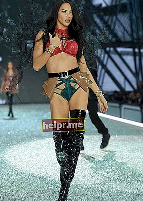 Adriana Lima en el Victoria's Secret Fashion Show 2016