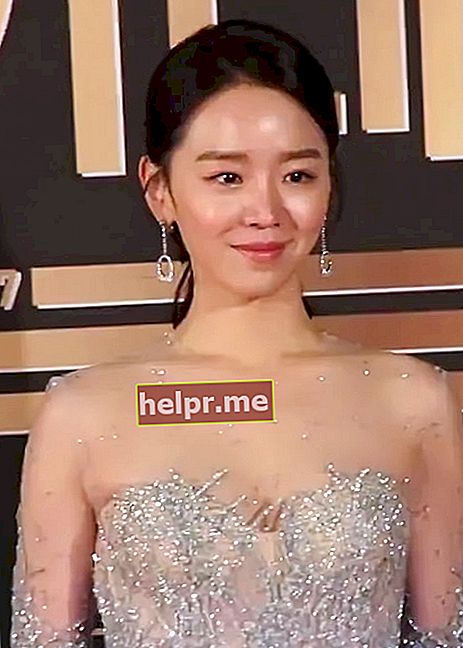 Shin Hye-sun visto en enero de 2018
