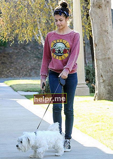 Amber Montana paseando a su perro Elvis en diciembre de 2015