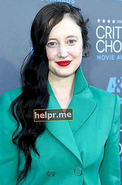 Andrea Riseborough no Critics 'Choice Movie Awards em janeiro de 2015