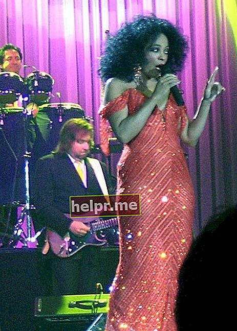 Diana Ross actuando en Rotterdam en 2007