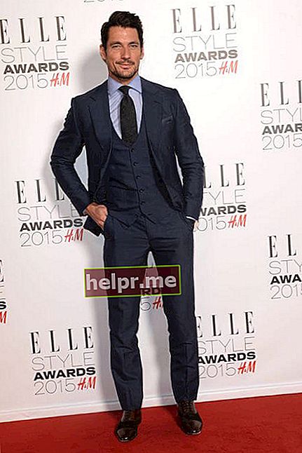 Davidas Gandy „Elle Style Awards“ ceremonijoje 2015 m. vasario 24 d