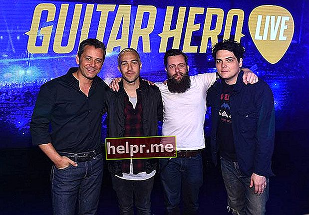 Eric Hirshberg, Pete Wentz, Jamie Jackson i Gerard Way a la revelació del joc All-New Guitar Hero Live l'abril de 2015