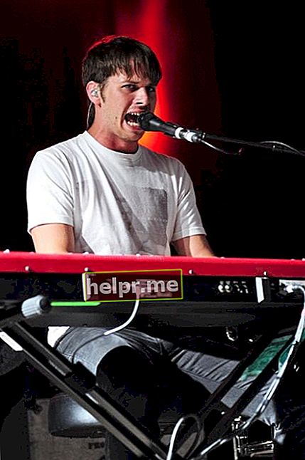 Mark Foster zoals te zien op het Big Day Out Festival in 2012