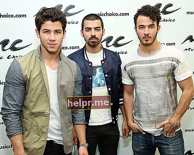 Jonas Brothers (opgeheven) - Nick, Joe en Kevin Jonas