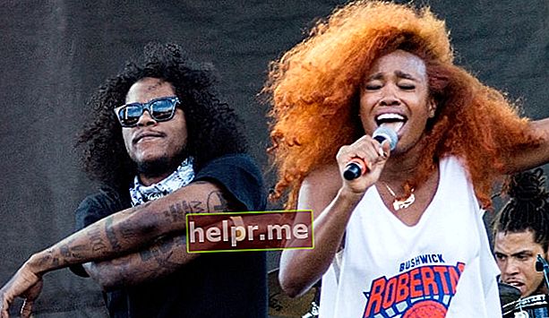 Ab-Soul (vänster) medan han spelade med SZA på AfroPunk-festivalen 2015 i Brooklyn, New York
