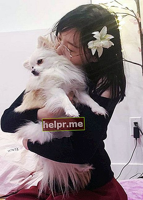 LilyPichu con su perro visto en enero de 2020