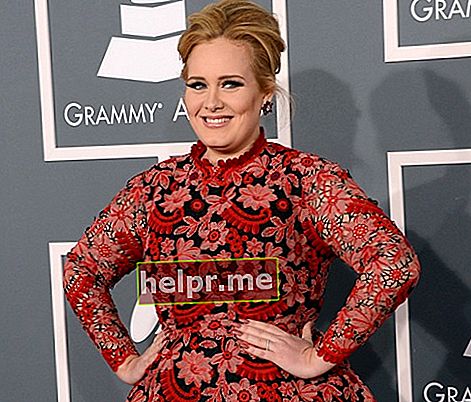 Adele în timpul Grammy 2013
