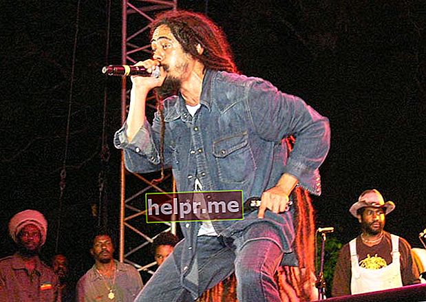 2008 स्माइल जमैका कॉन्सर्ट में डेमियन मार्ले गाते हुए
