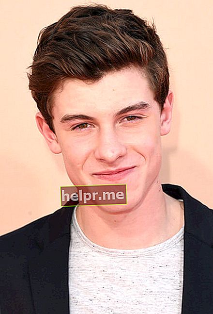 Cântărețul Shawn Mendes participă la iHeartRadio Music Awards 2015, care a fost transmis în direct pe NBC de la The Shrine Auditorium pe 29 martie 2015 în Los Angeles, California
