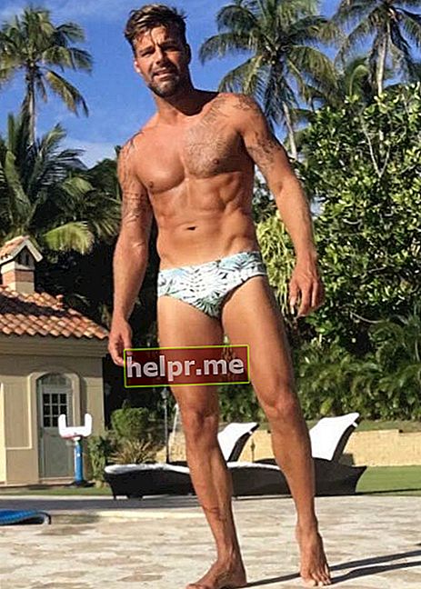 Corpul fără cămașă al lui Ricky Martin, așa cum s-a văzut pe rețelele sociale în 2016