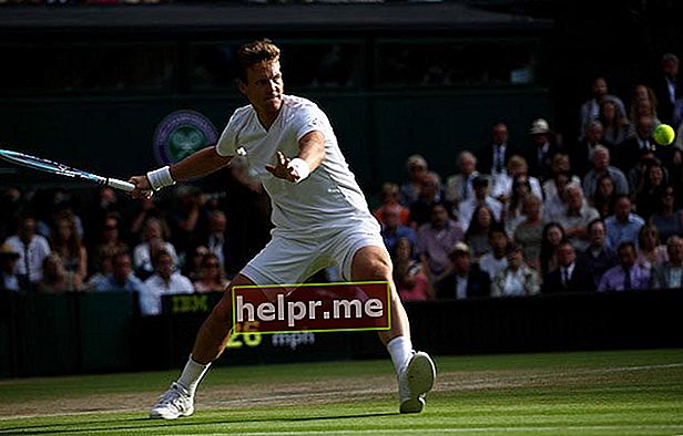 Meciul de semifinală al lui Tomas Berdych Wimbledon împotriva lui Andy Murray 8 iulie 2016 Londra