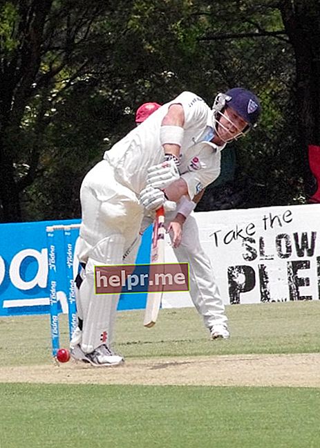 डेविड वार्नर जैसा कि नवंबर 2011 में बल्लेबाजी करते हुए ली गई एक तस्वीर में देखा गया है