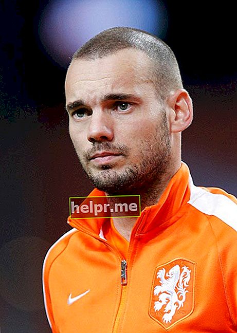 Wesley Sneijder prije međunarodne prijateljske utakmice protiv Meksika 12. studenog 2014. u Amsterdamu, Nizozemska