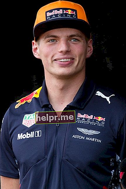 Max Verstappen visto en septiembre de 2017