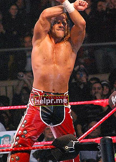 Shawn Michaels tijekom meča u srpnju 2008