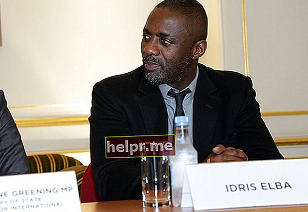 Idris Elba în timpul conferinței „Înfrângerea Ebola în Sierra Leone” din 2014