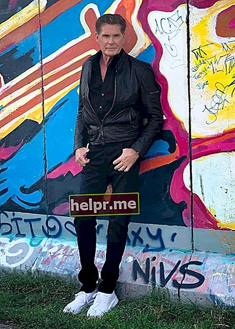 David Hasselhoff como se vio en una publicación de Instagram en septiembre de 2019