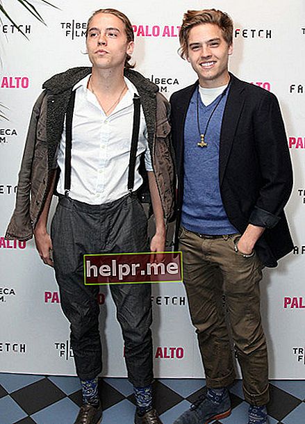 Dylan (esquerra) i Cole Sprouse (dreta) assisteixen al Festival de Cinema de Tribeca 2014 després de la festa de Palo Alto de Gia Coppola, presentada per Farfetch a Up&Down.