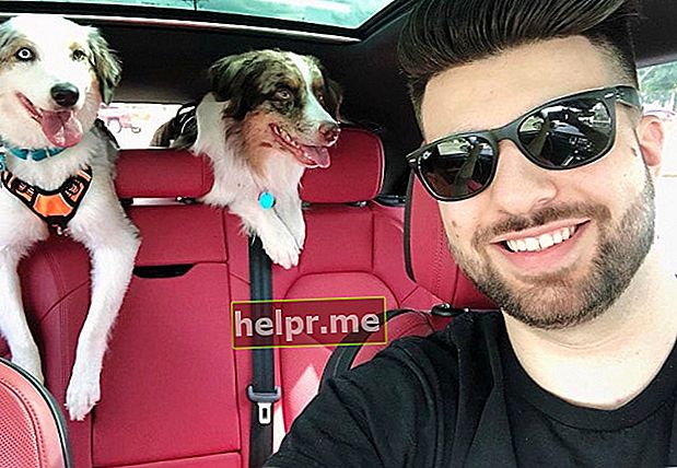 SypherPK într-un selfie cu câinii săi, așa cum s-a văzut în iulie 2019