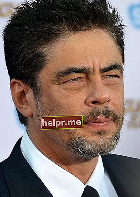 Benicio del Toro la premiera filmului „Gardienii galaxiei” în iulie 2014