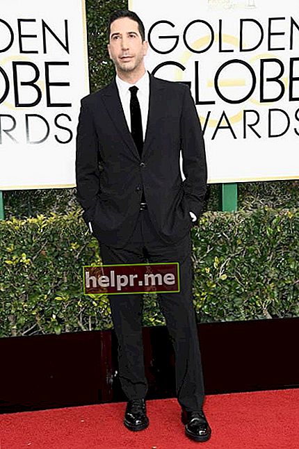 David Schwimmer en los Golden Globe Awards 2017