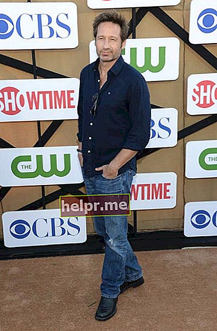 David Duchovny en la fiesta de verano de TCA de CBS y Showtime 2013