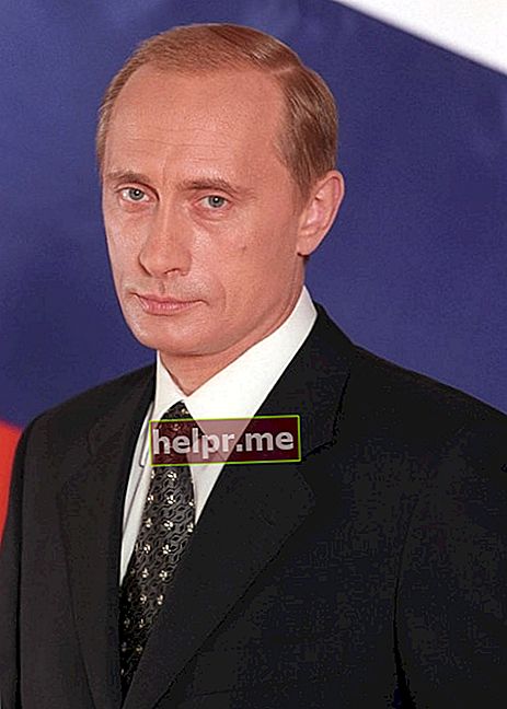 El presidente Vladimir Putin como se ve en su retrato oficial