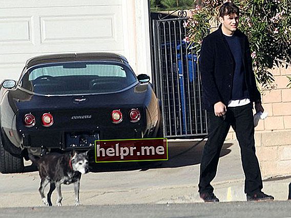 Ashton Kutcher își duce câinele la plimbare