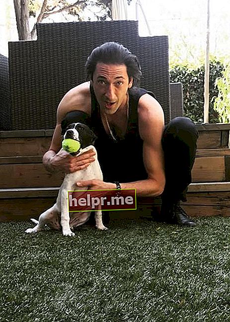 Adrien Brody nőstény kutyájával, 2017. márciusában