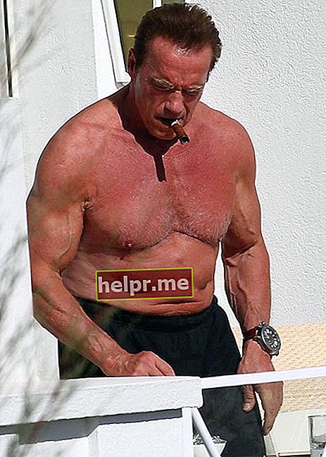 Arnold Schwarzenegger corp fără cămașă mai 2014 Cannes, Franța
