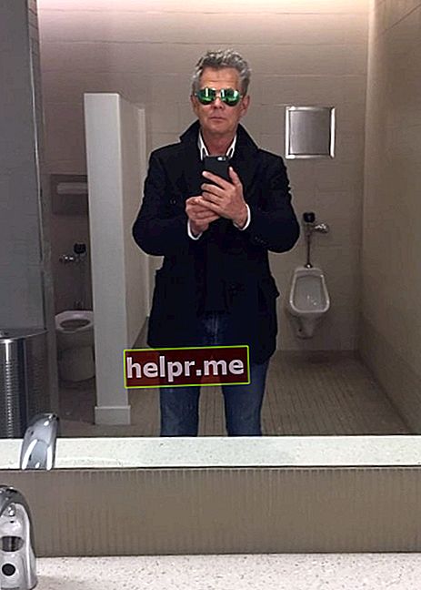 David Foster într-o oglindă de baie selfie în iunie 2017
