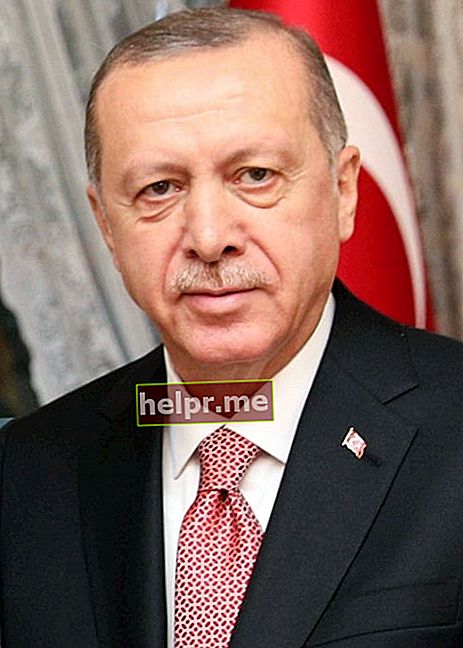 Recep Tayyip Erdoğan, așa cum s-a văzut în noiembrie 2018