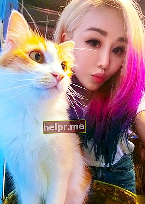 Wengie egy selfie-ben egy cicával, akivel Malajziában találkozott 2017 novemberében
