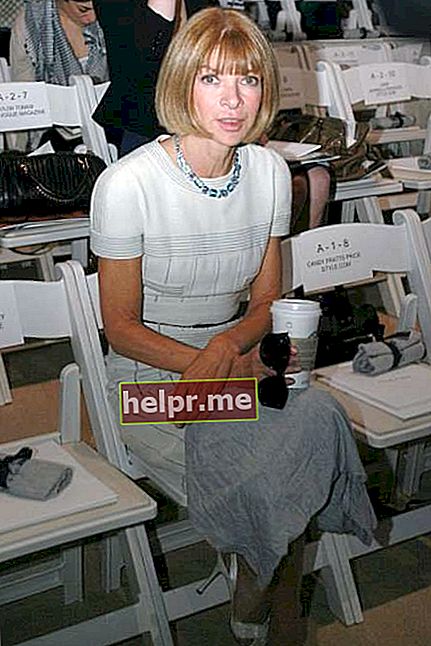 آنا وينتور في عرض أزياء آن كلاين