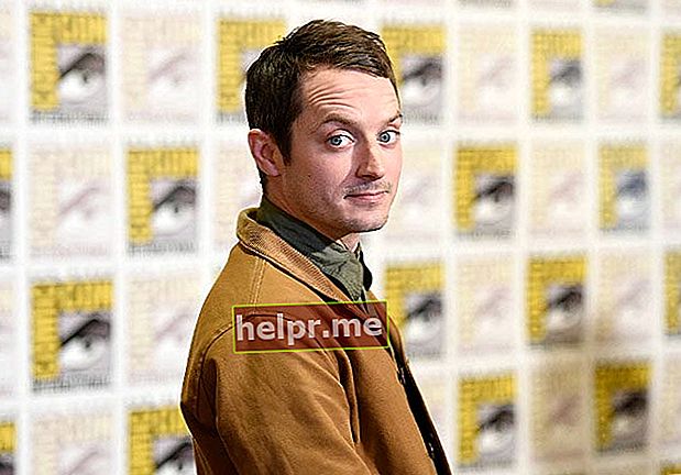 Elijah Wood na Comic-Con International 2015