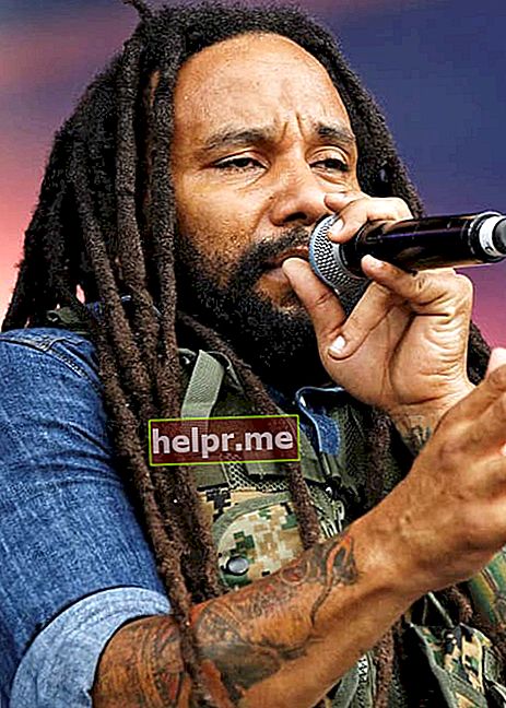 Ky-Mani Marley en el festival Vieilles Charrues 2014