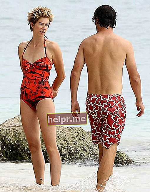 Andrew Lincoln e sua esposa Gael Anderson na praia do Caribe em agosto de 2013