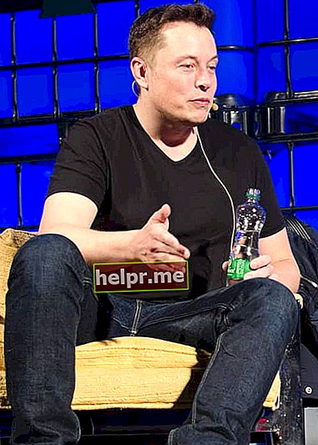 Elon Musk på toppmötet i oktober 2013
