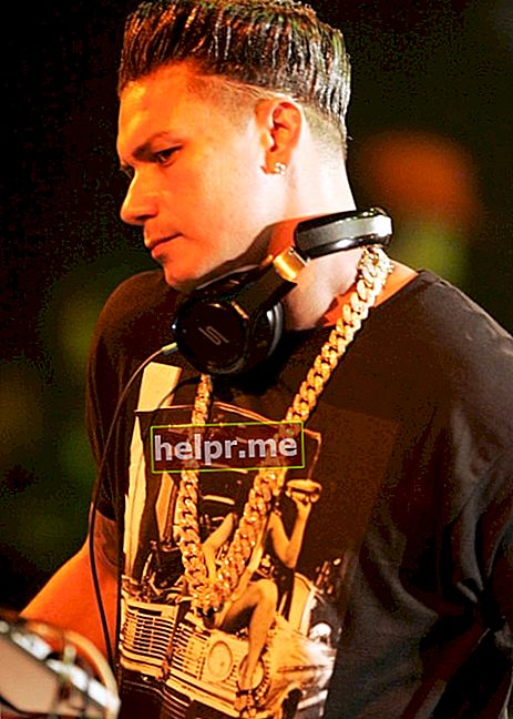 DJ Pauly D جیسا کہ جنوری 2013 میں دی بگ ٹاپ لونا پارک سڈنی میں اپنی پرفارمنس کے دوران لی گئی تصویر میں دیکھا گیا ہے۔