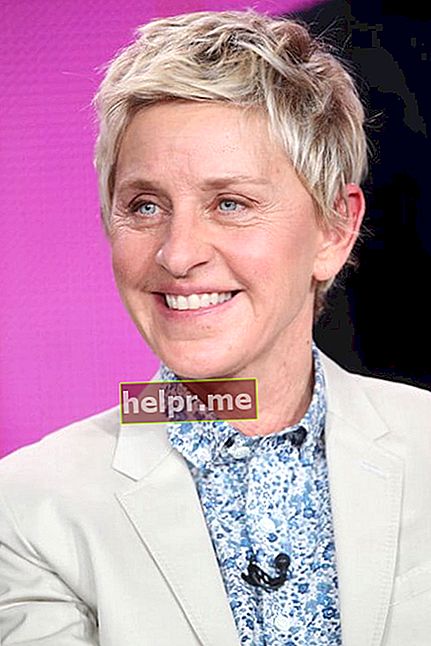 Ellen DeGeneres aparece durante el panel de discusión 'One Big Happy' en el Langham Hotel el 16 de enero de 2015 en Pasadena, California