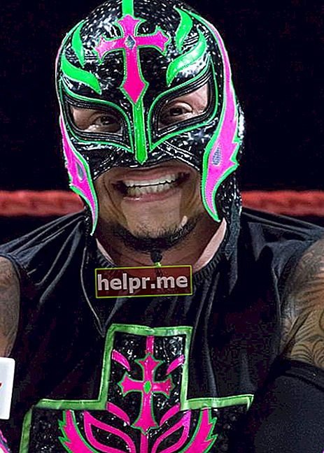 Rey Mysterio na priredbi Destiny Wrestling u Mississaugi u listopadu 2015