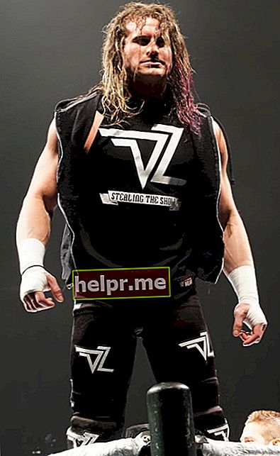 Dolph Ziggler așa cum s-a văzut în timpul WWE Live WrestleMania Revenge din aprilie 2016