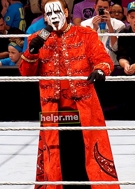 Sting așa cum se vede într-o fotografie făcută în timp ce susținea un promo la un eveniment WWE Raw pe 30 martie 2015