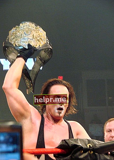 El lluitador professional Sting amb el TNA World Heavyweight Championship a Bound for Glory el 12 d'octubre de 2008