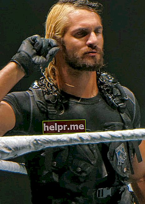 Seth Rollins tại một chương trình WWE vào tháng 11 năm 2013