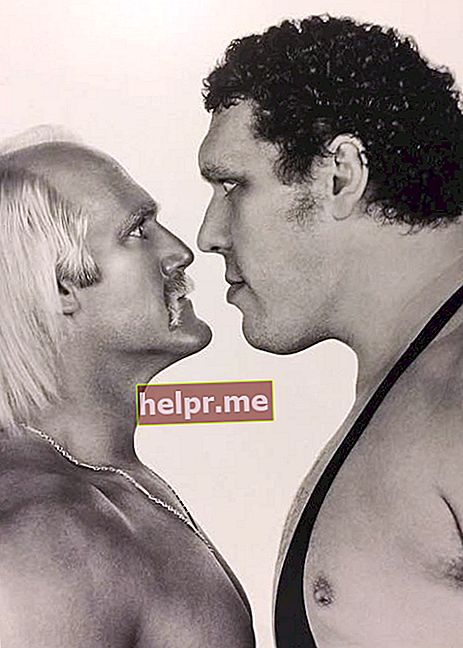 Hulk Hogan (izquierda) con Andre the Giant